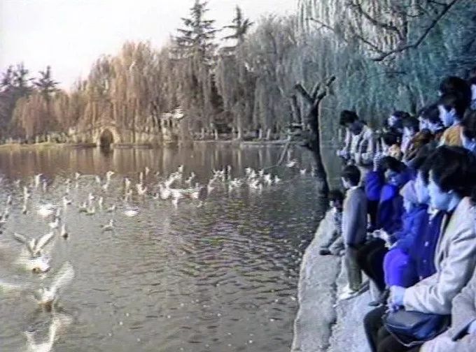 晋宁诗意的栖居地