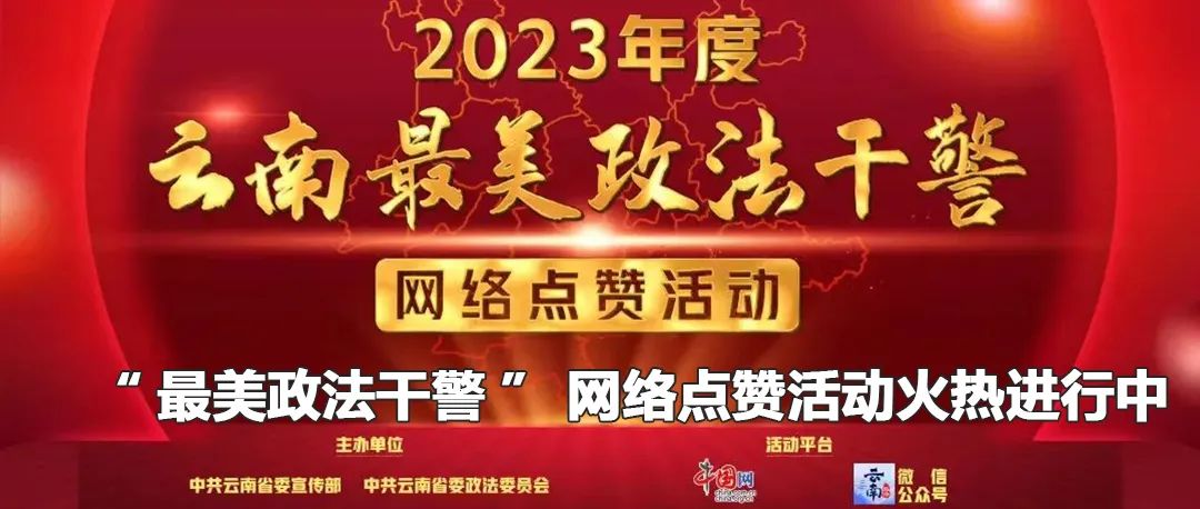 云南政法