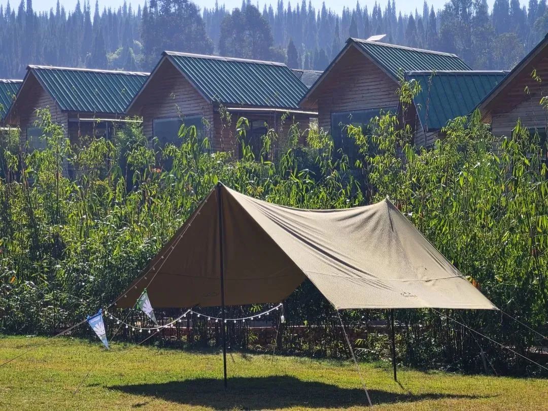 云南广播电视台微信