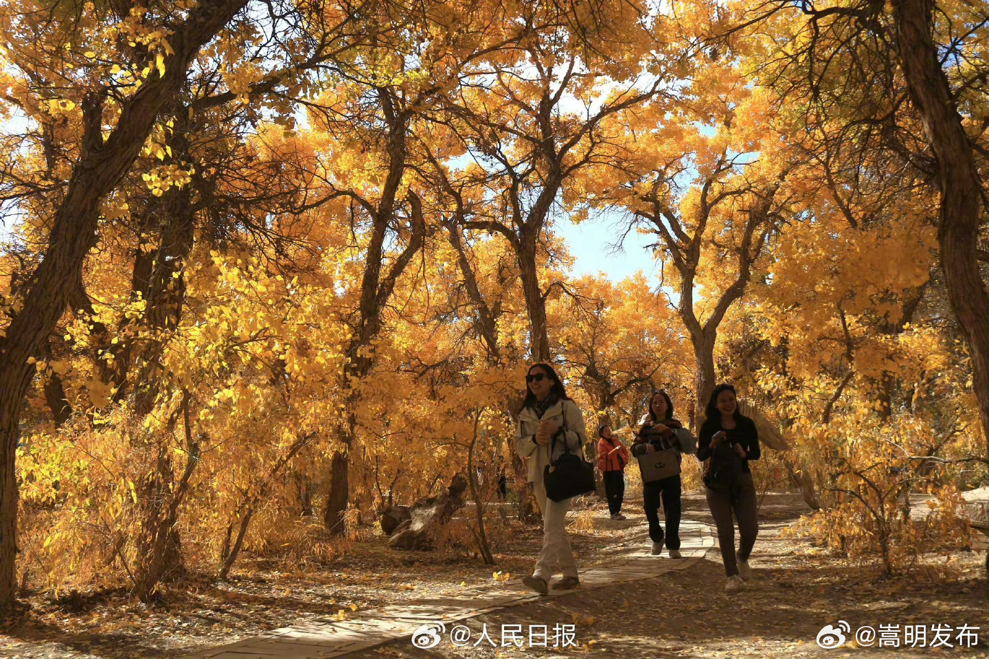 嵩明发布