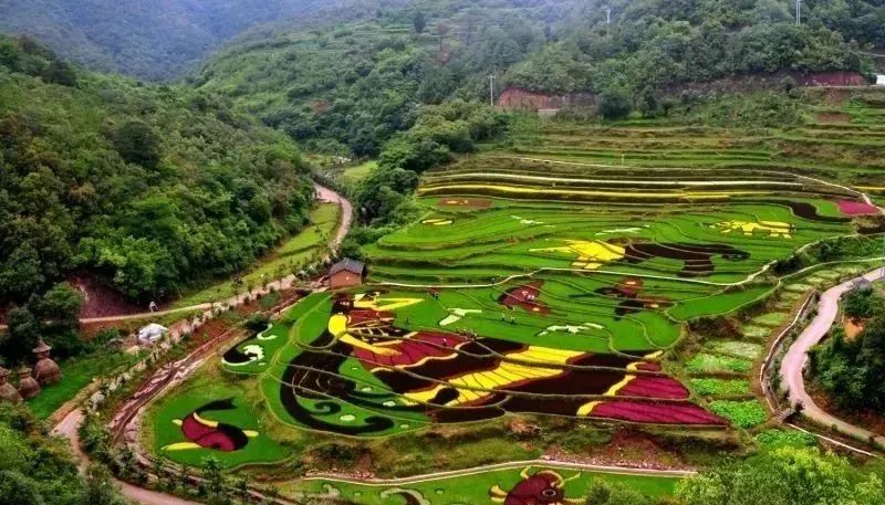 昆明信息港/cnkmxxg