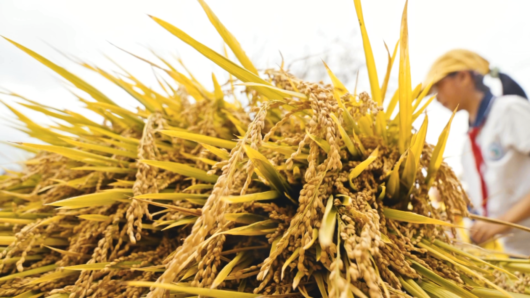 晋宁诗意的栖居地