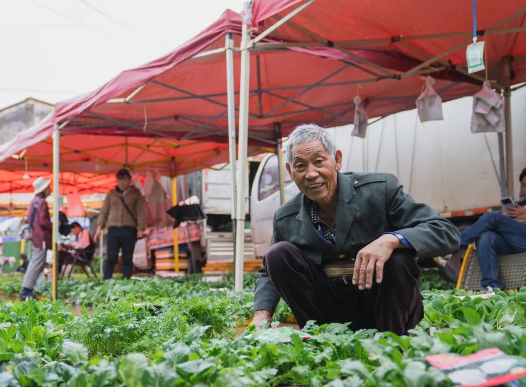 晋宁诗意的栖居地