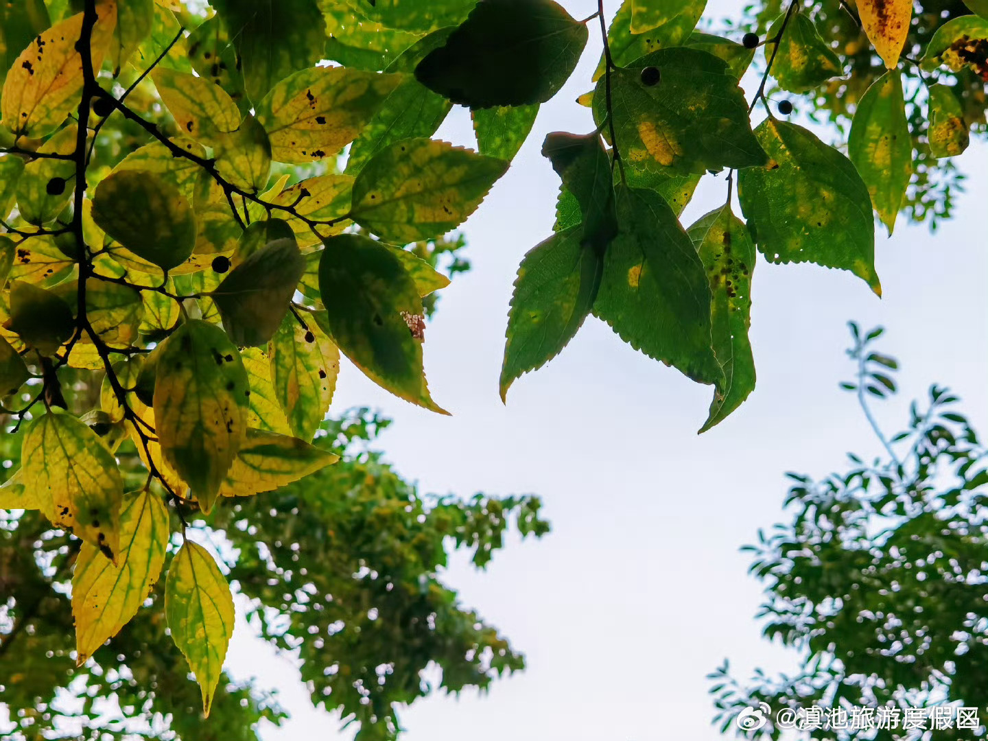 昆明短临天气预报