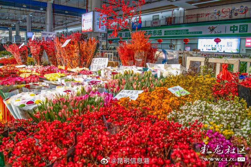 昆明信息港微博