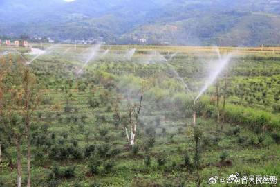 事关农业用水精准补贴和节水奖励！云南四部门出台办法