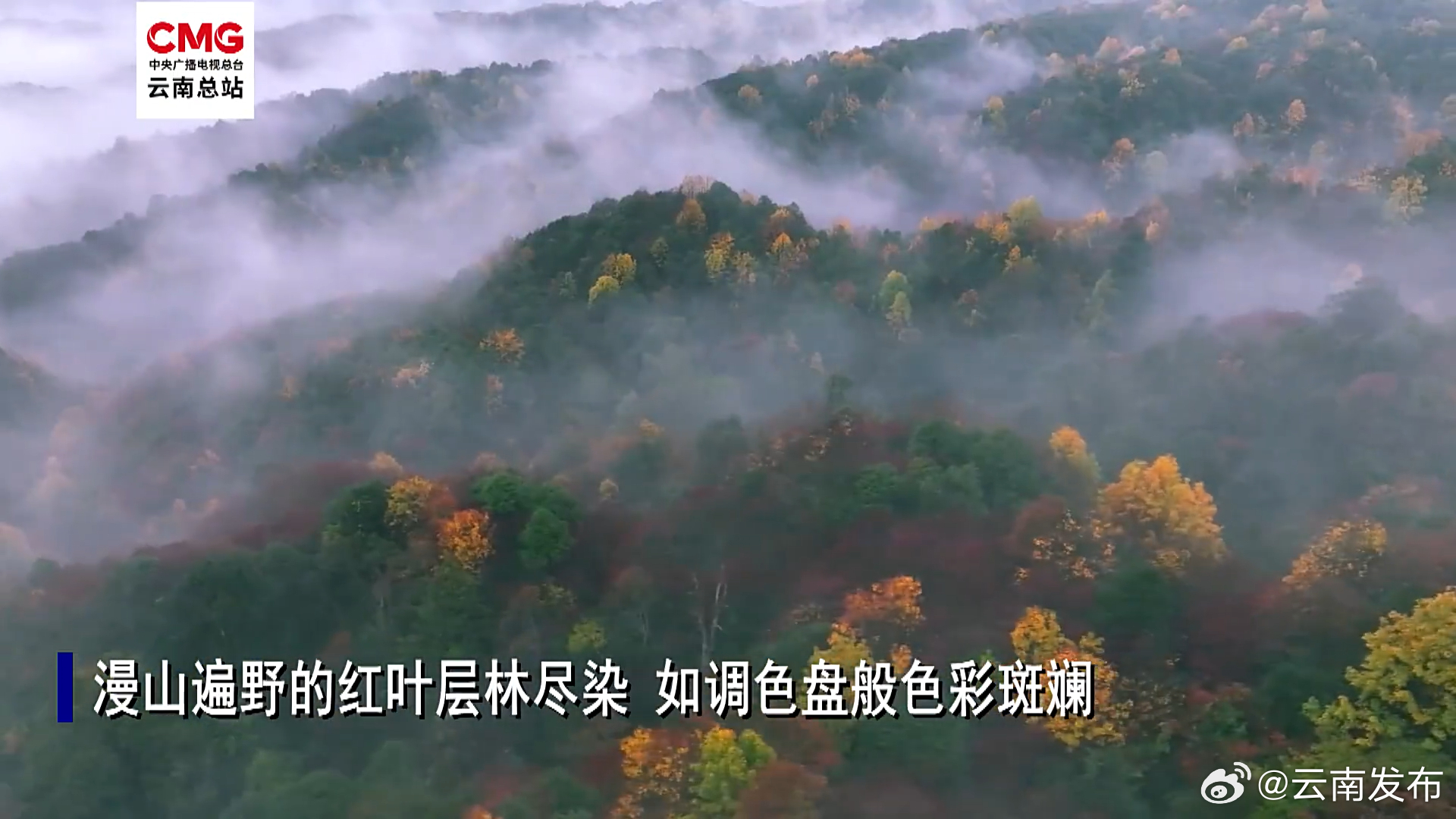 云南发布