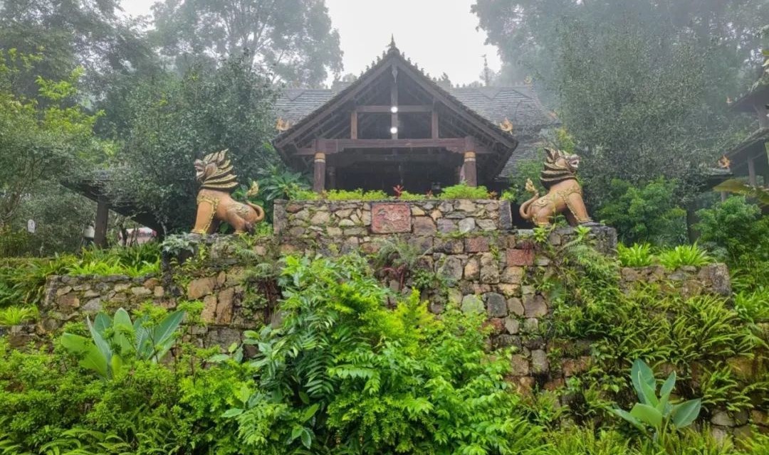 云南省文化和旅游厅