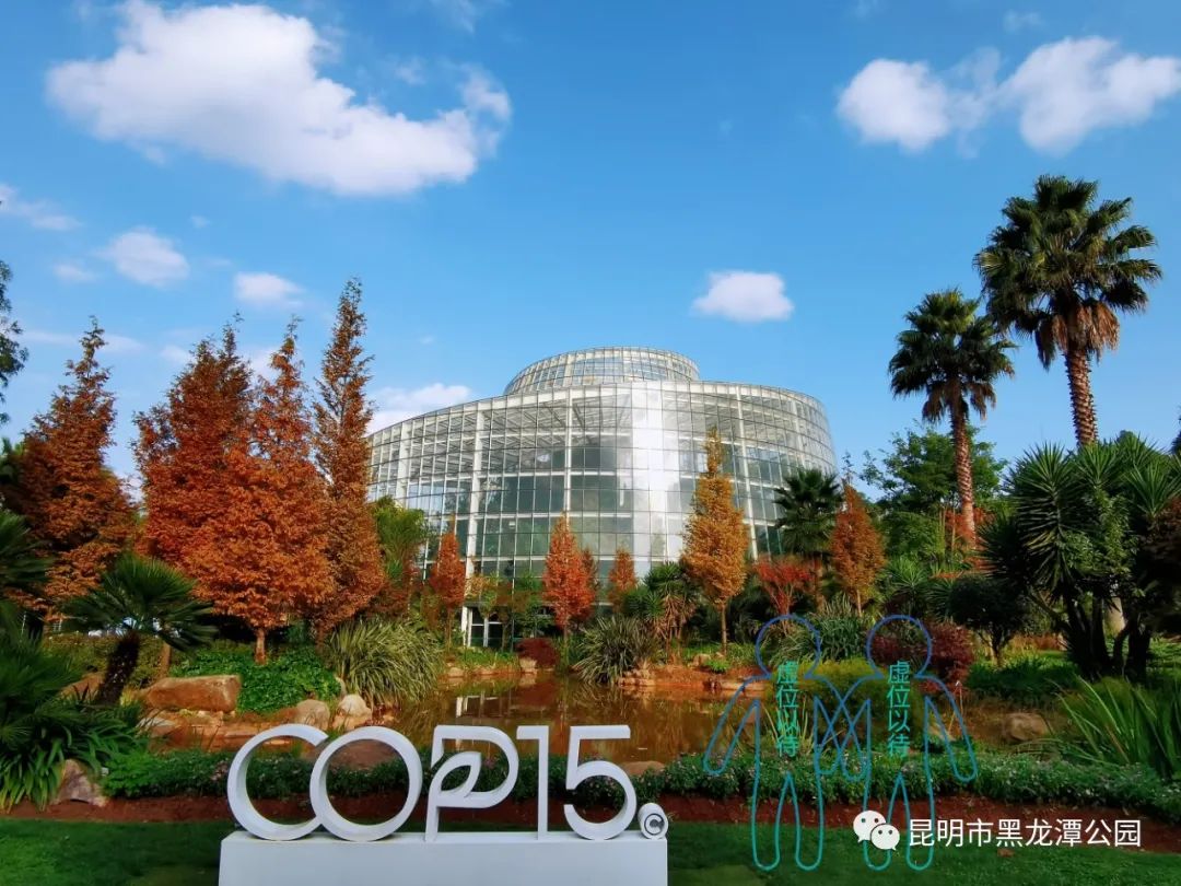 昆明市黑龙潭公园