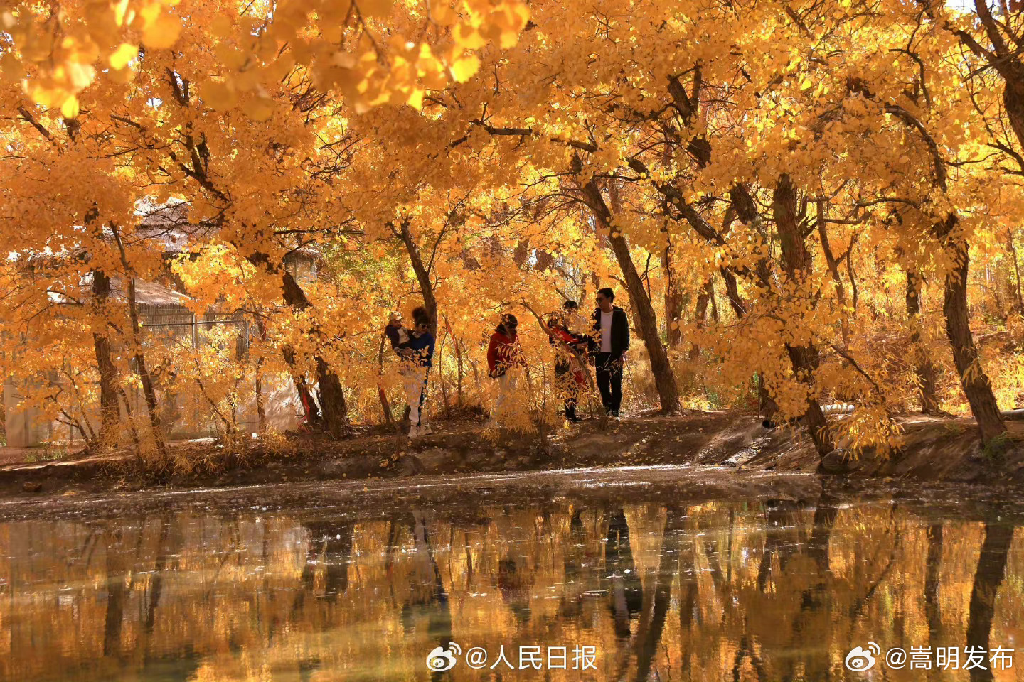 嵩明发布