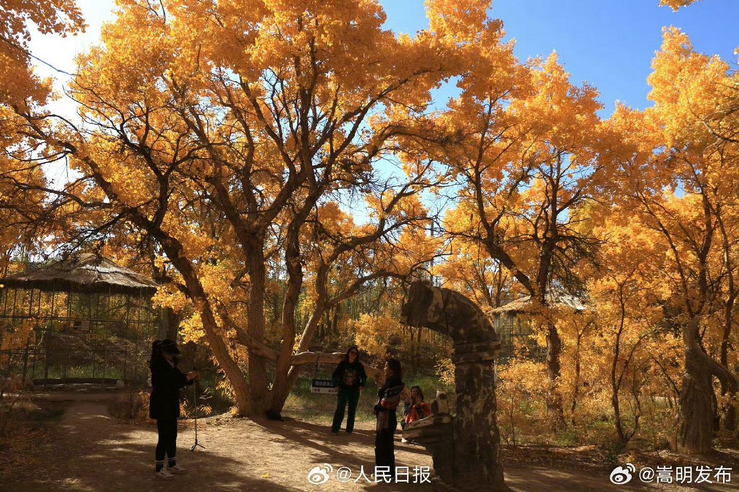 嵩明发布