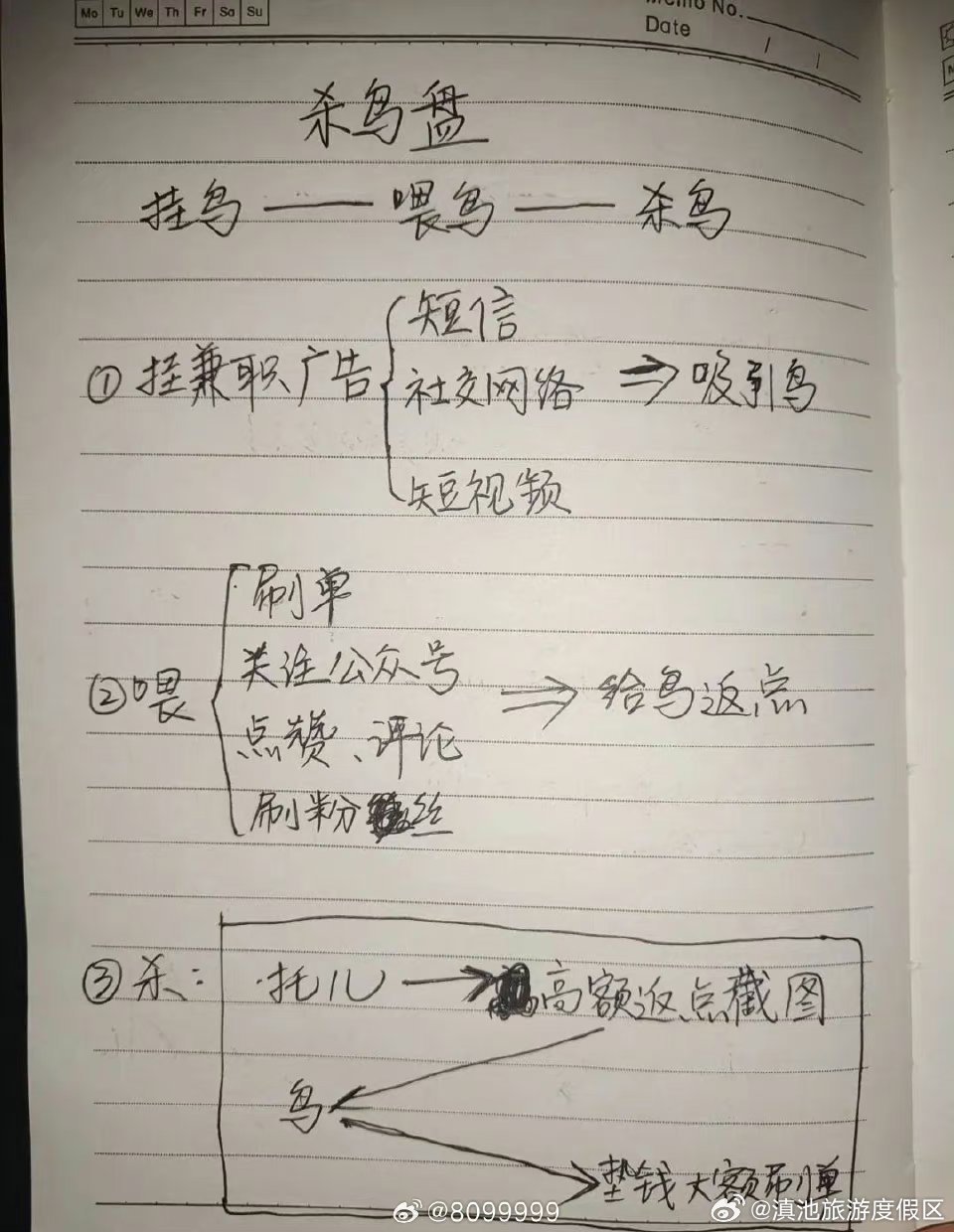 “杀鸟”“杀鱼”“杀猪”，这本笔记信息量巨大