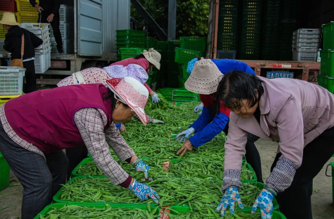 晋宁诗意的栖居地