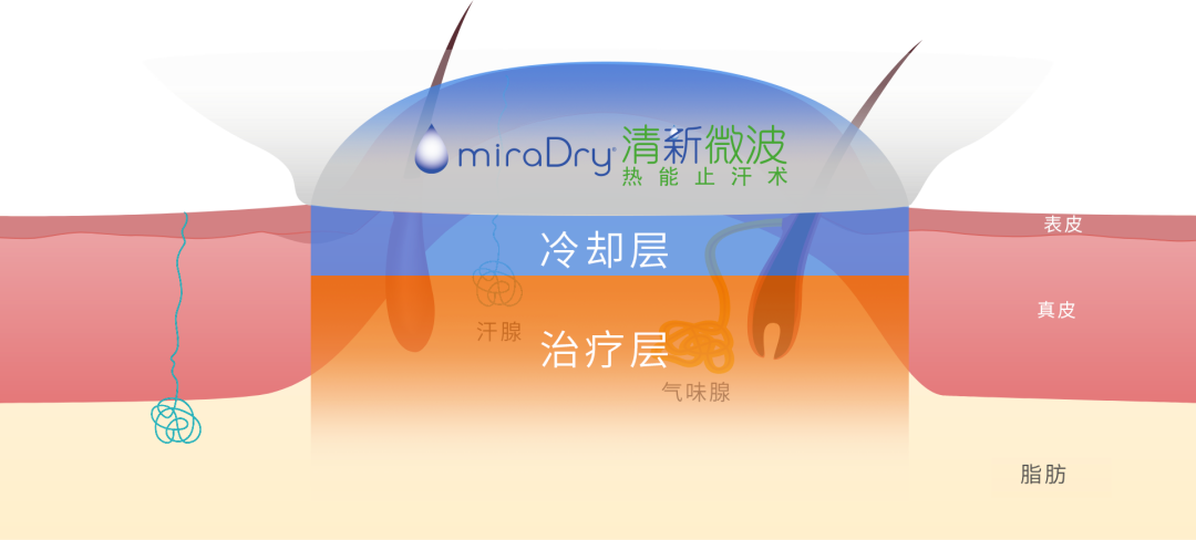 昆明信息港/cnkmxxg