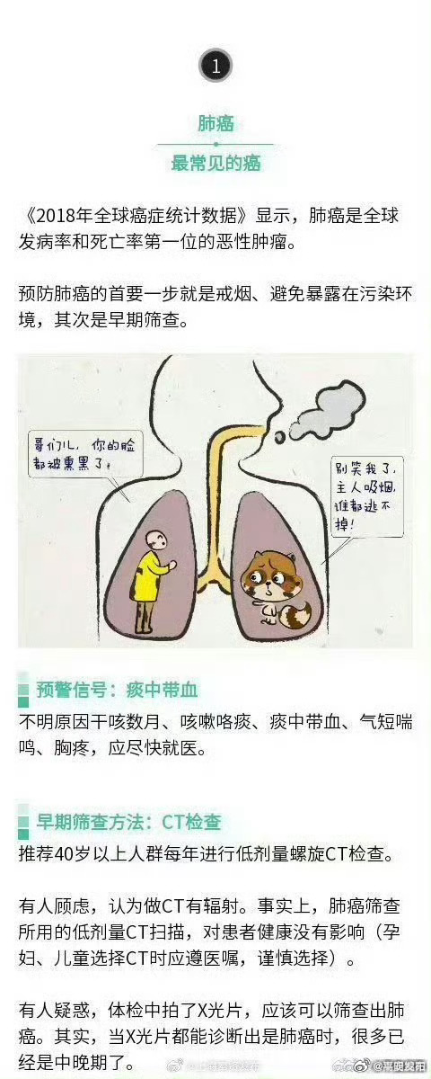 嵩明发布
