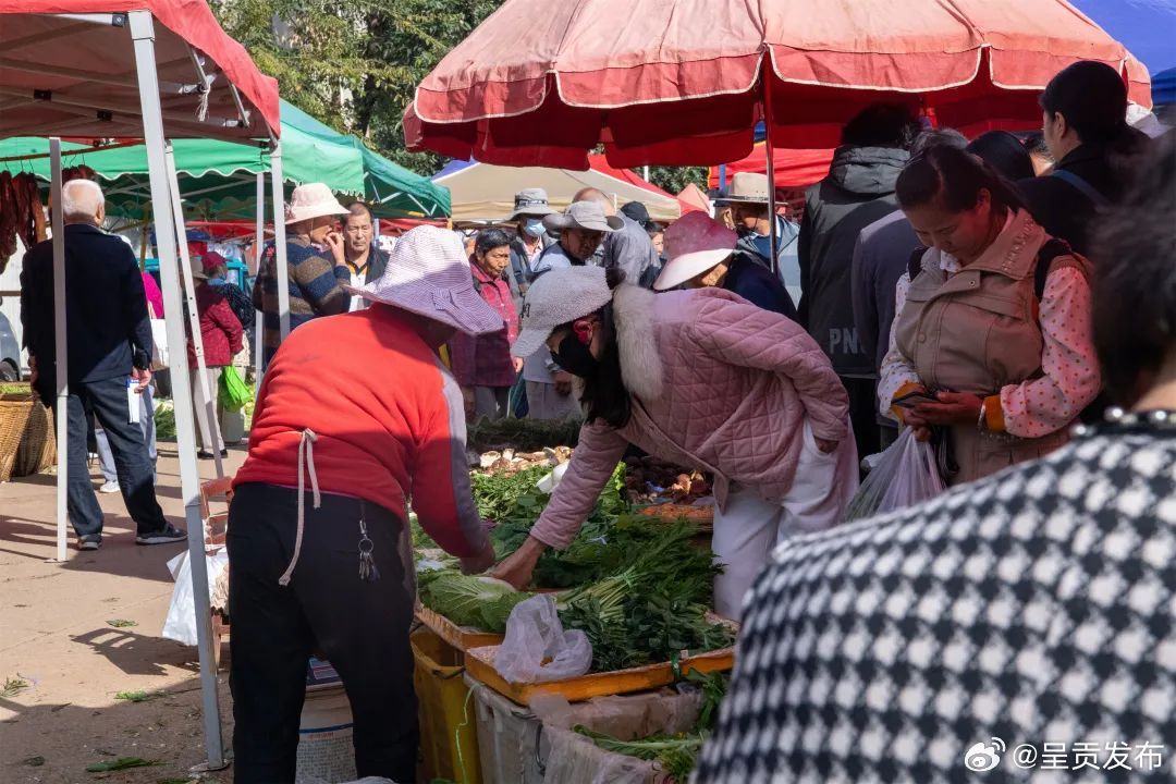 呈贡发布