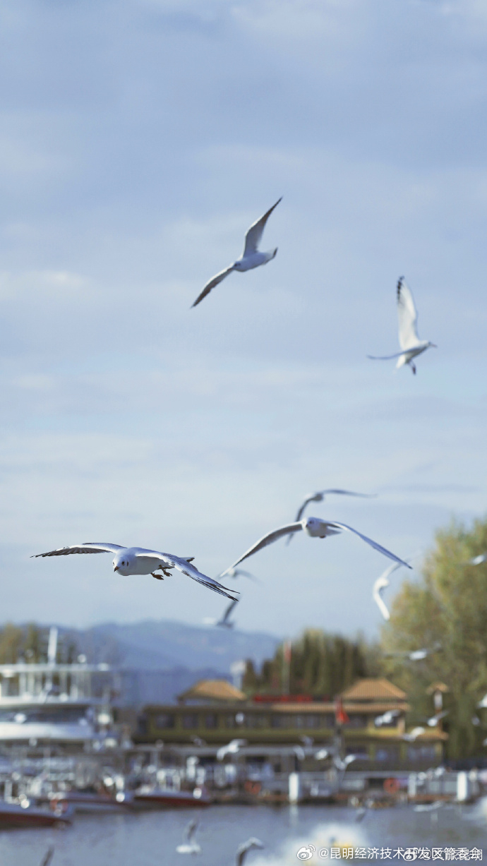 昆明经济技术开发区管委会