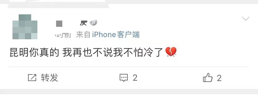 掌上春城微信