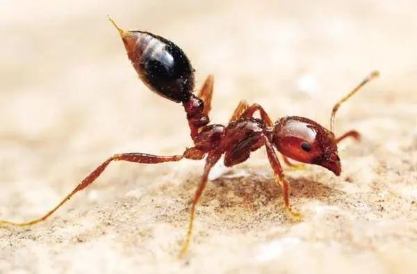 晋宁诗意的栖居地