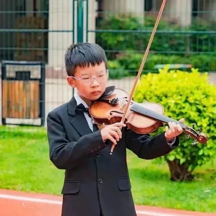 盘龙教育