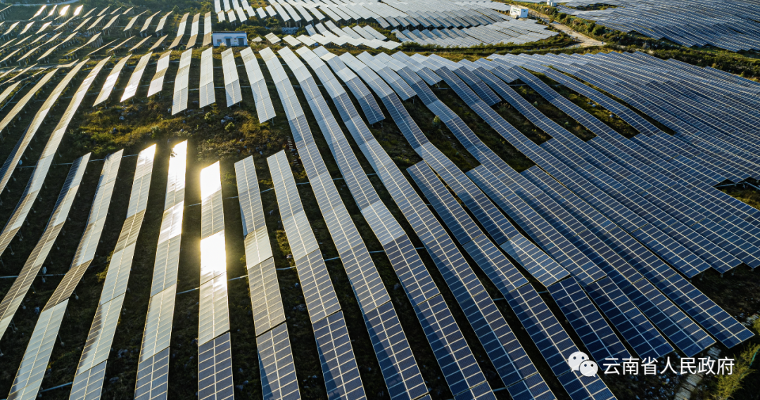 云南省人民政府网