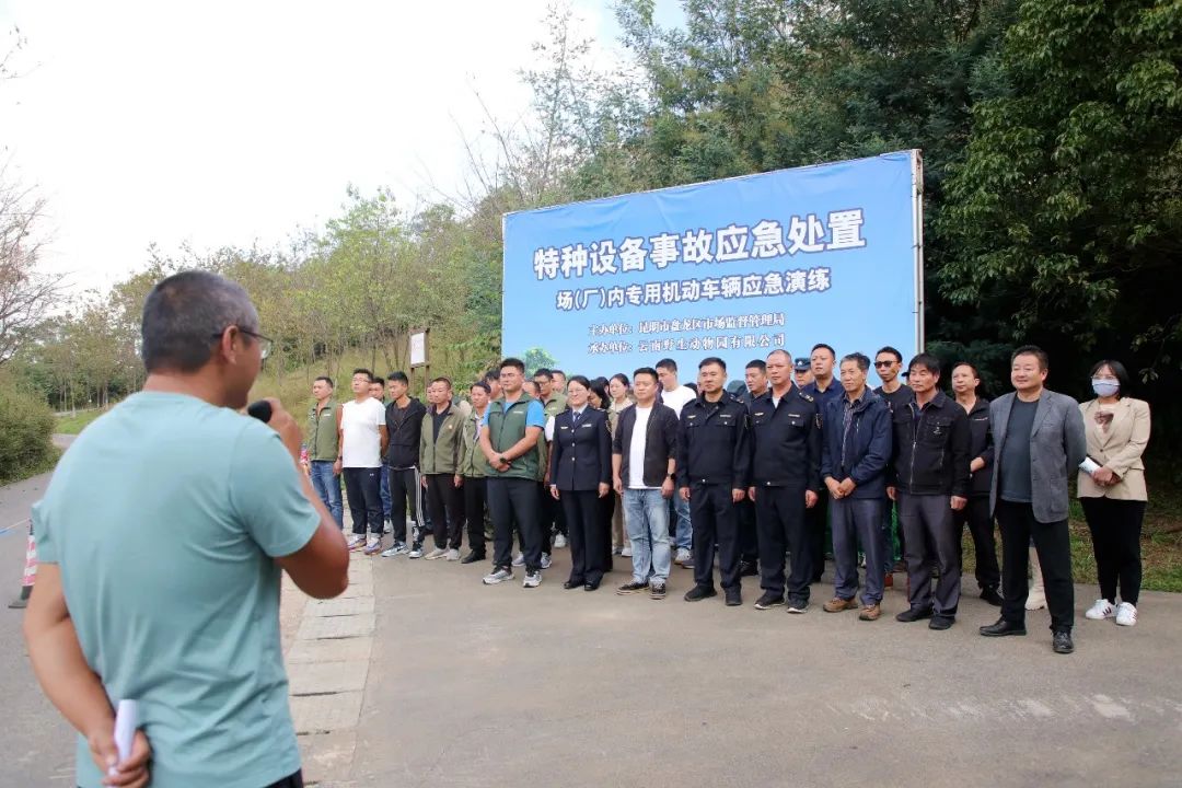 微观盘龙