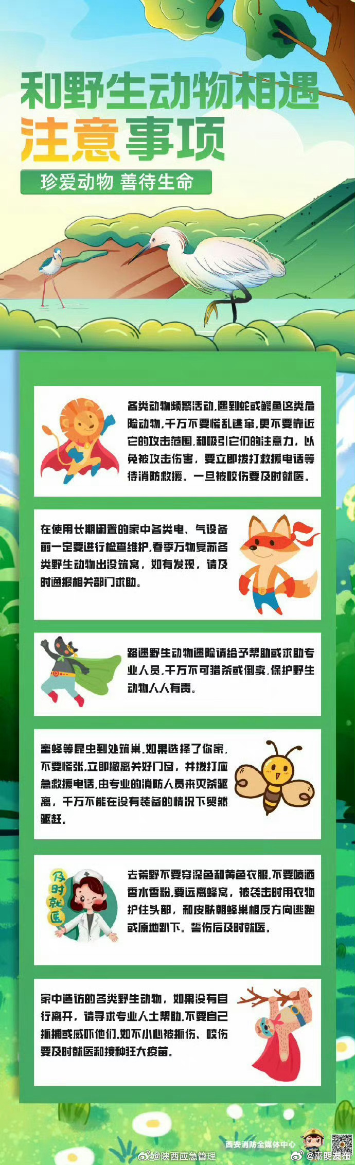 与野生动物相遇的那些事
