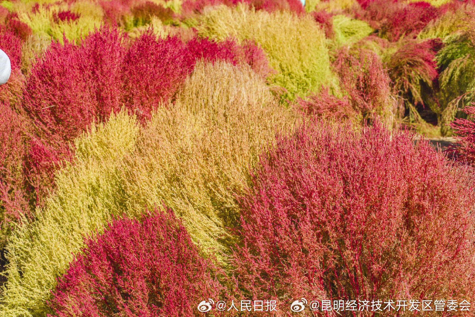 昆明经济技术开发区管委会