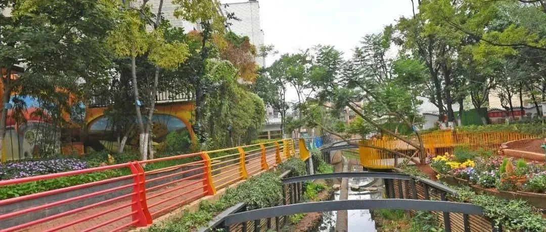 微观盘龙