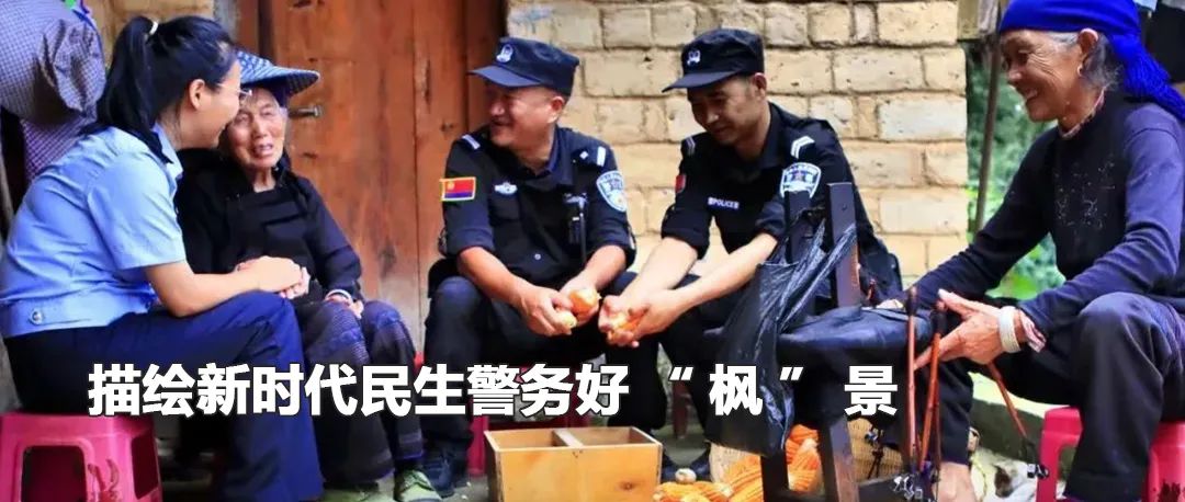 云南政法