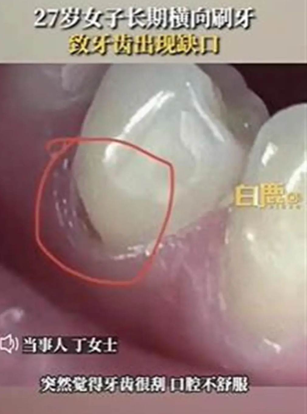 美丽云南微科普