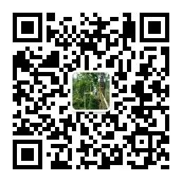 西双版纳望天树景区