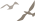 清风春城