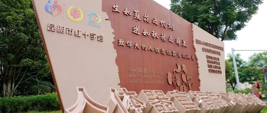 微观盘龙