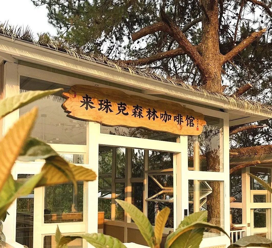 普洱日报