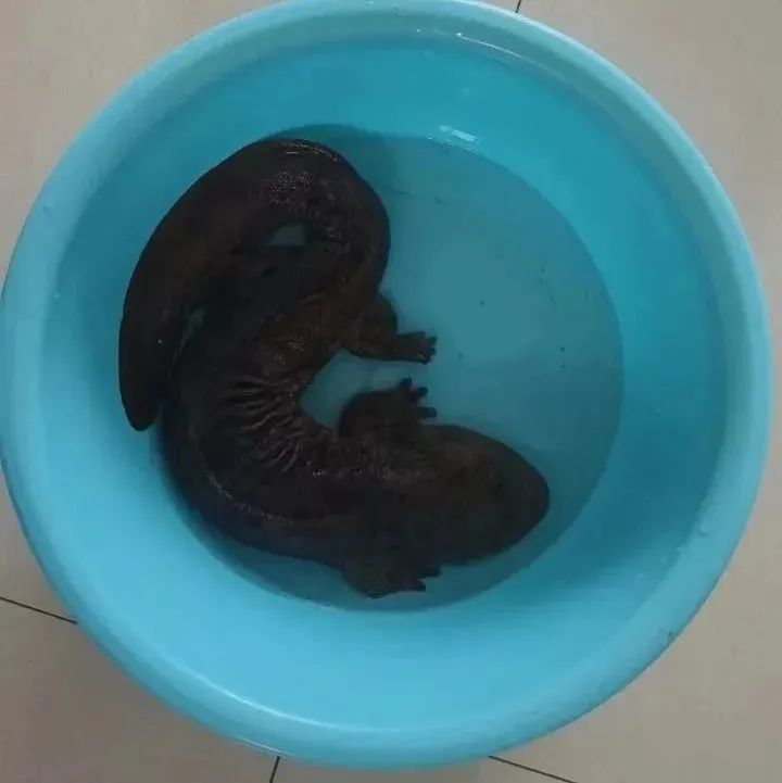 昆明生态环境