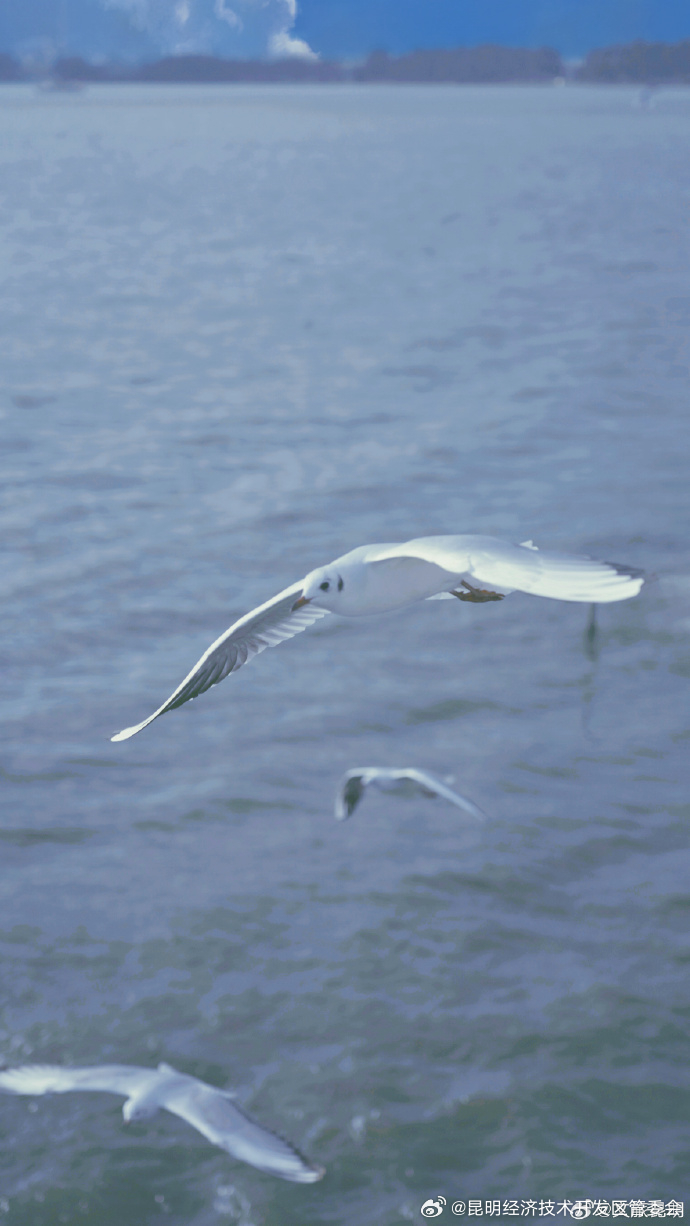 昆明经济技术开发区管委会
