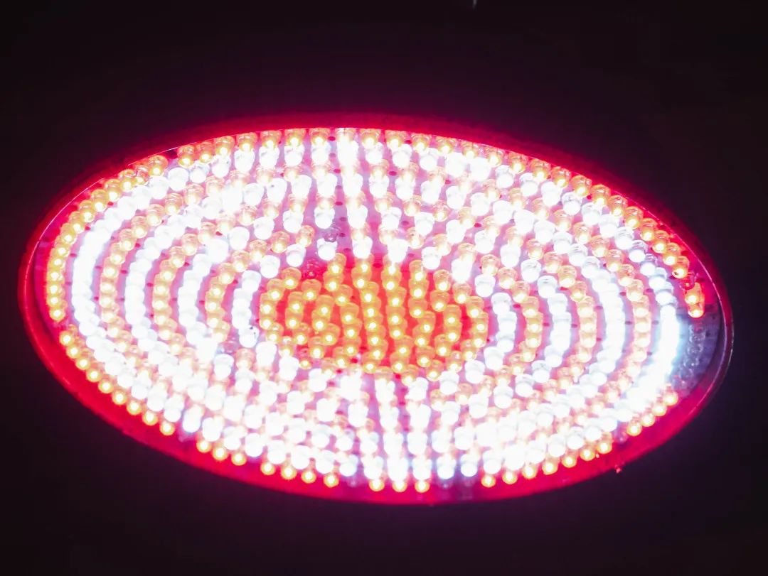 晋宁诗意的栖居地