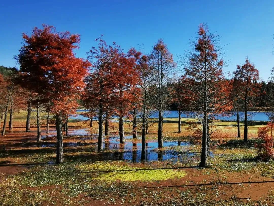 昆明信息港/cnkmxxg