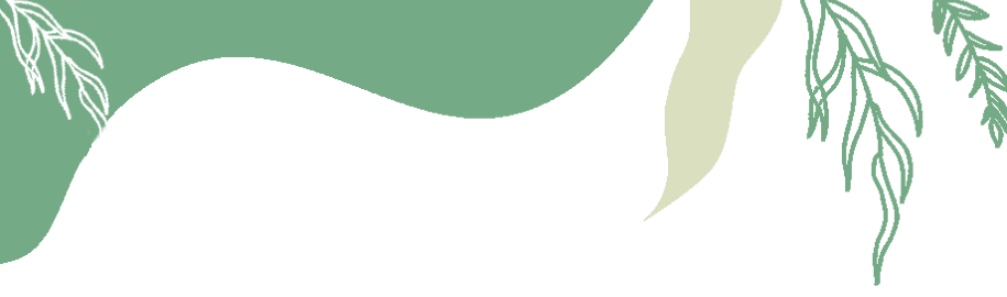 保山新闻网