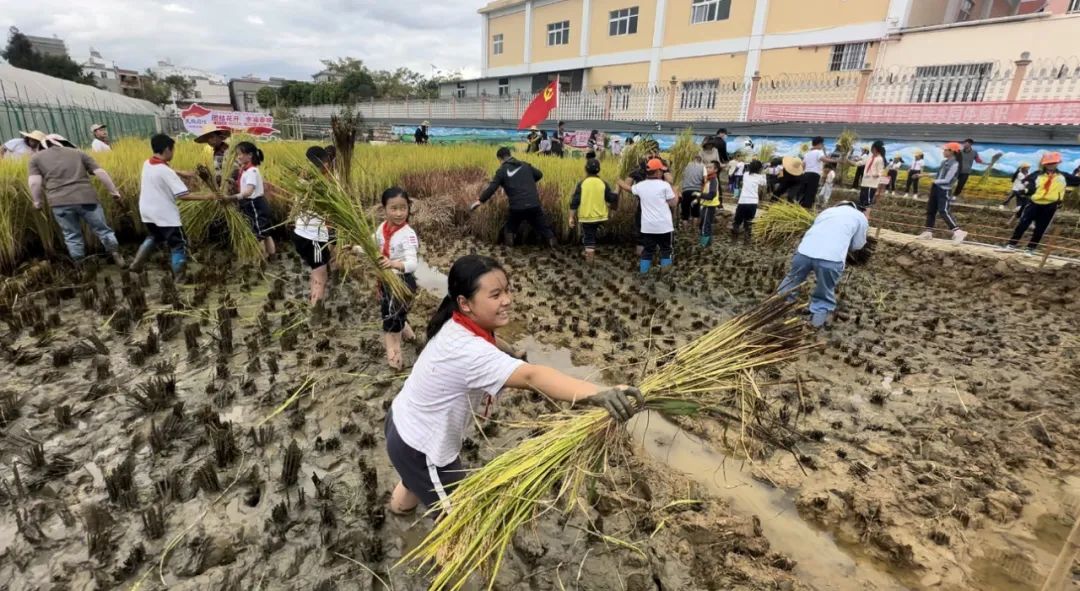 晋宁诗意的栖居地