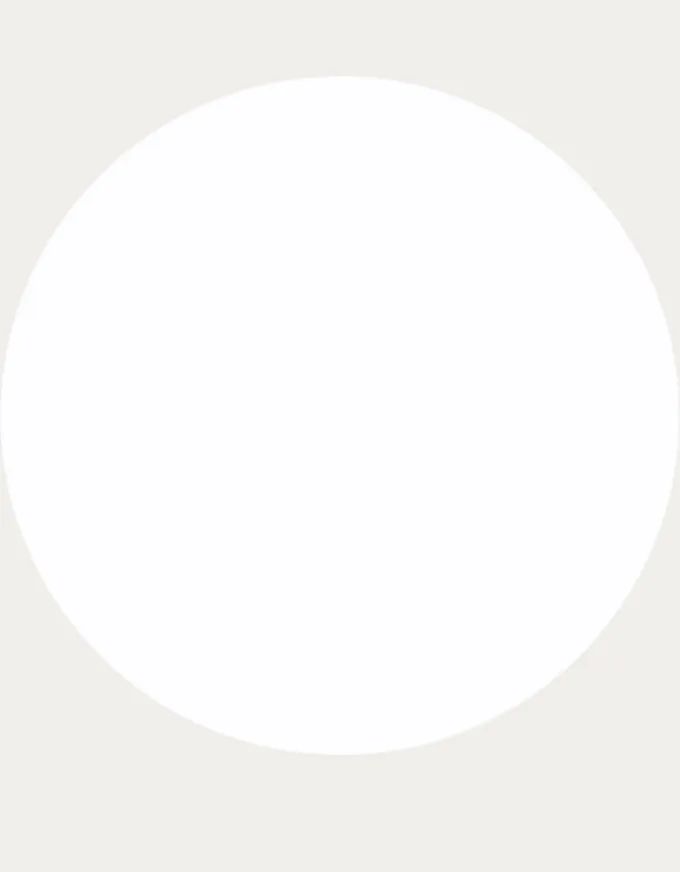 西双版纳望天树景区