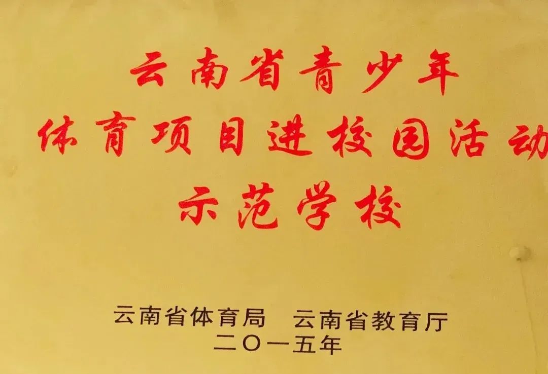 盘龙教育