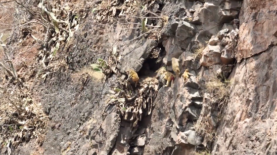 昆明信息港/cnkmxxg