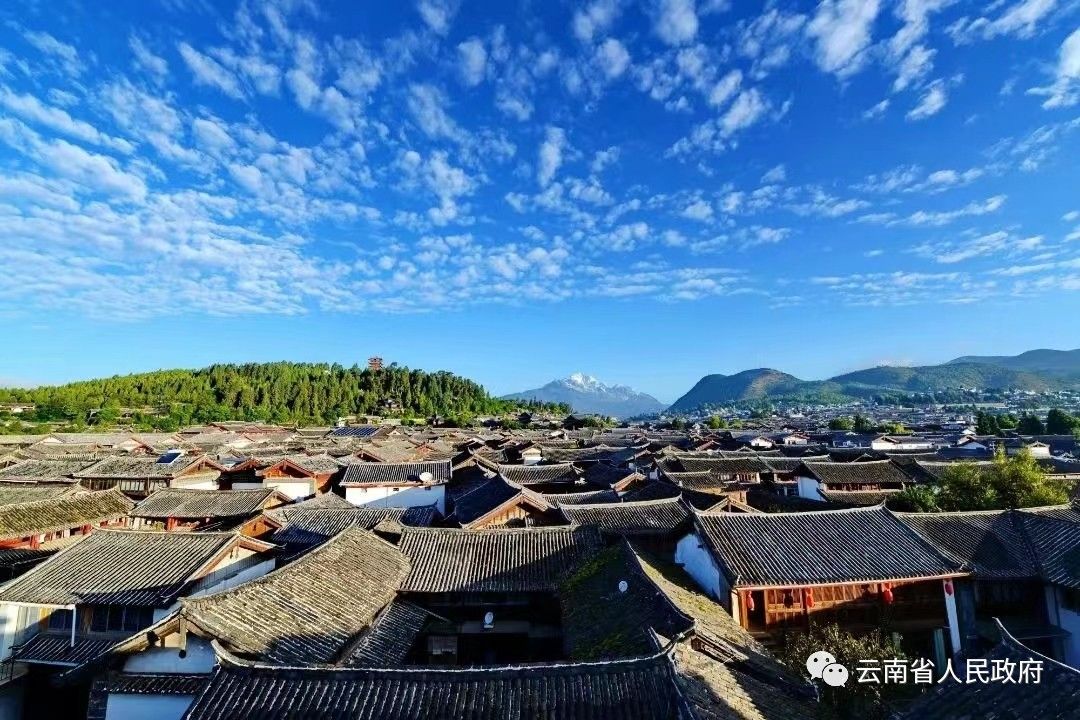 云南省人民政府网