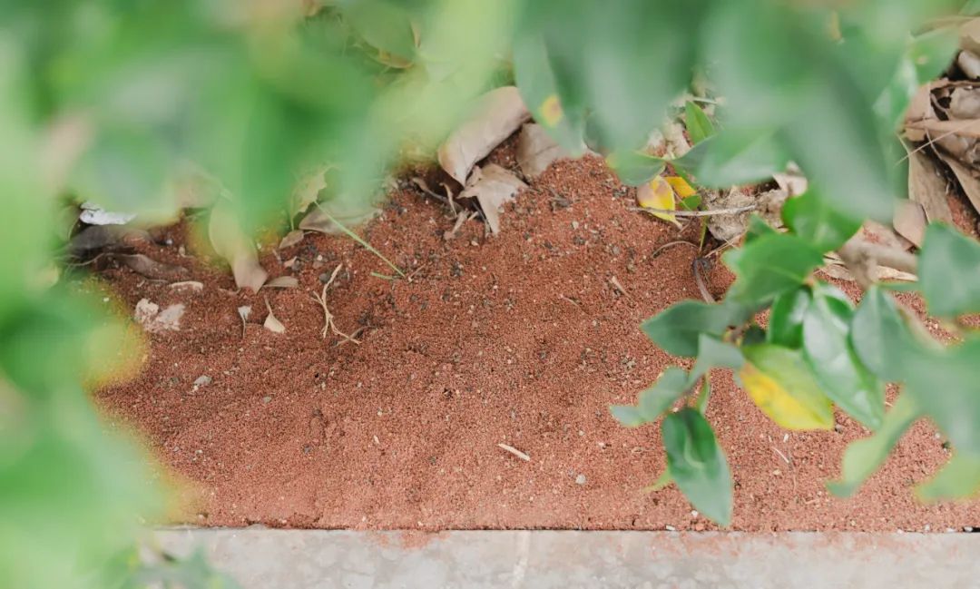 晋宁诗意的栖居地