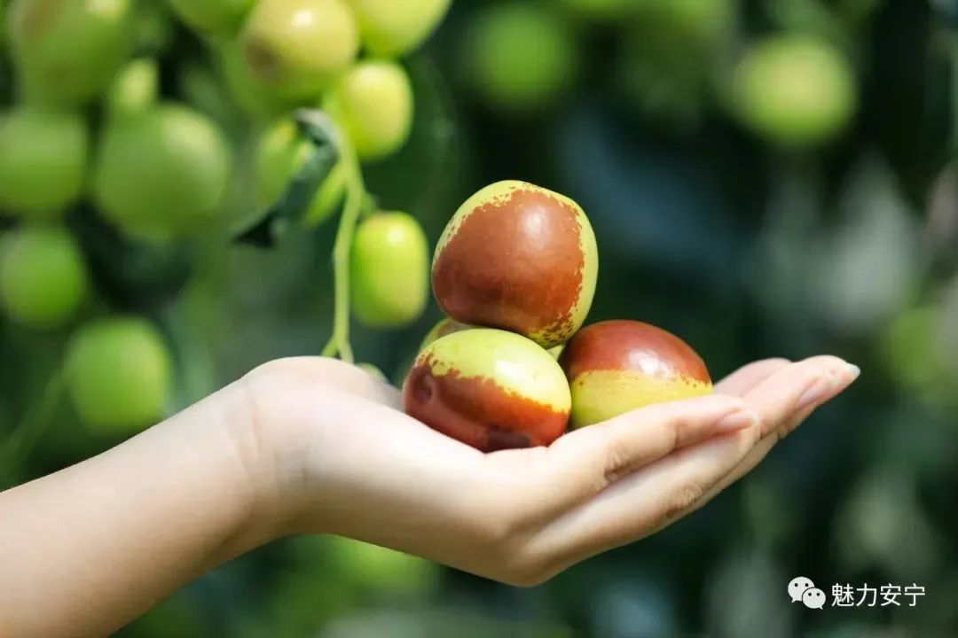 昆明文旅