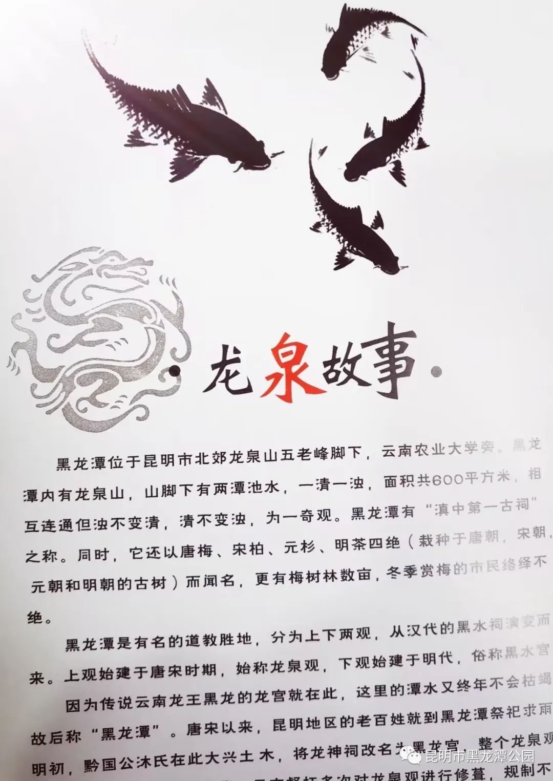 昆明市黑龙潭公园