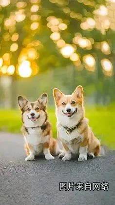 晋宁诗意的栖居地