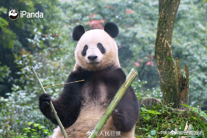 云南发布